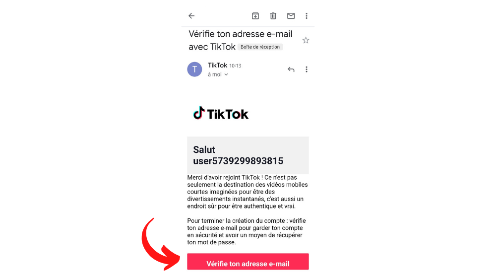 TikTok Verify