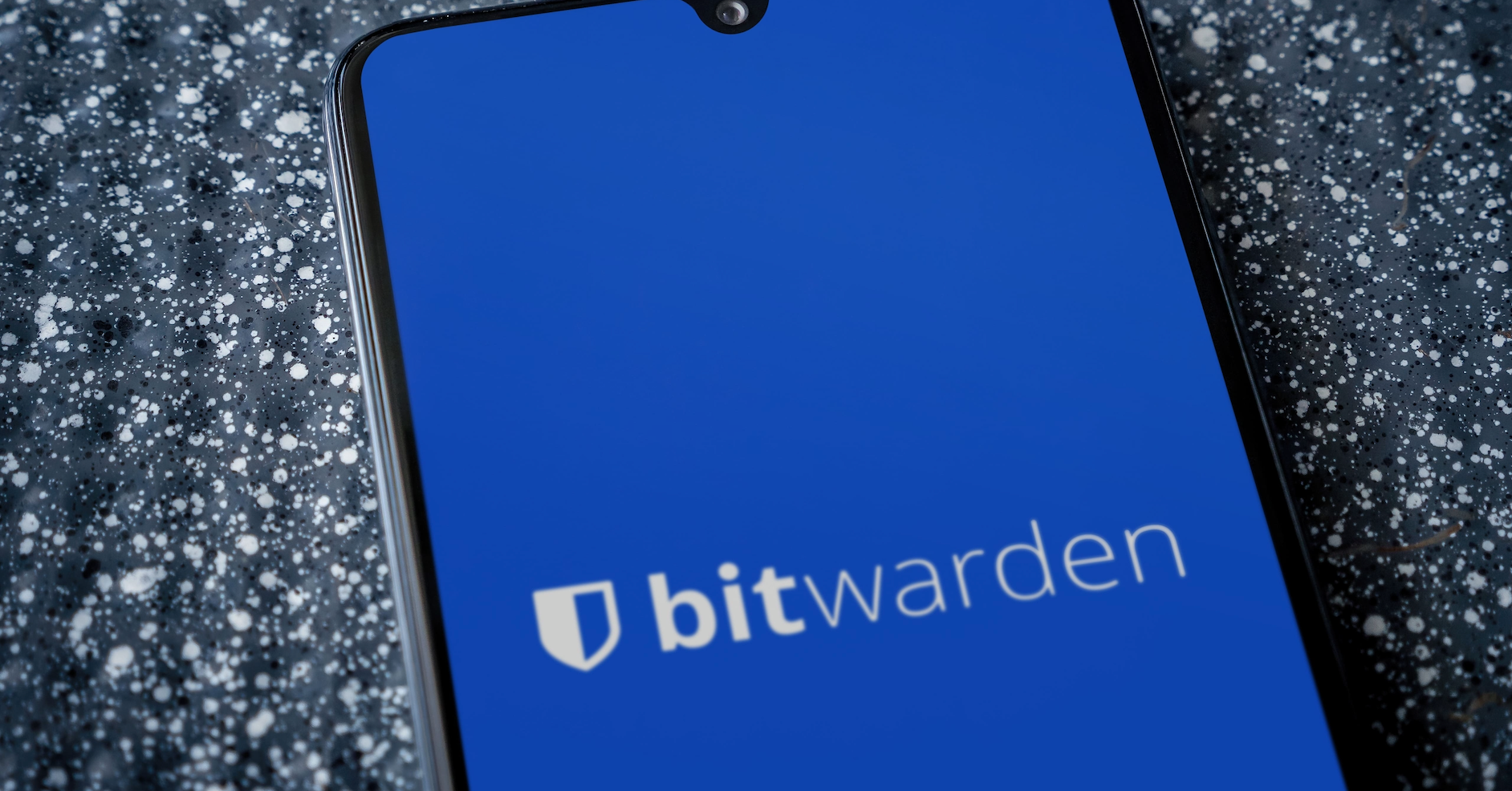Voici les services les plus appréciés en matière de confidentialité selon Bitwarden