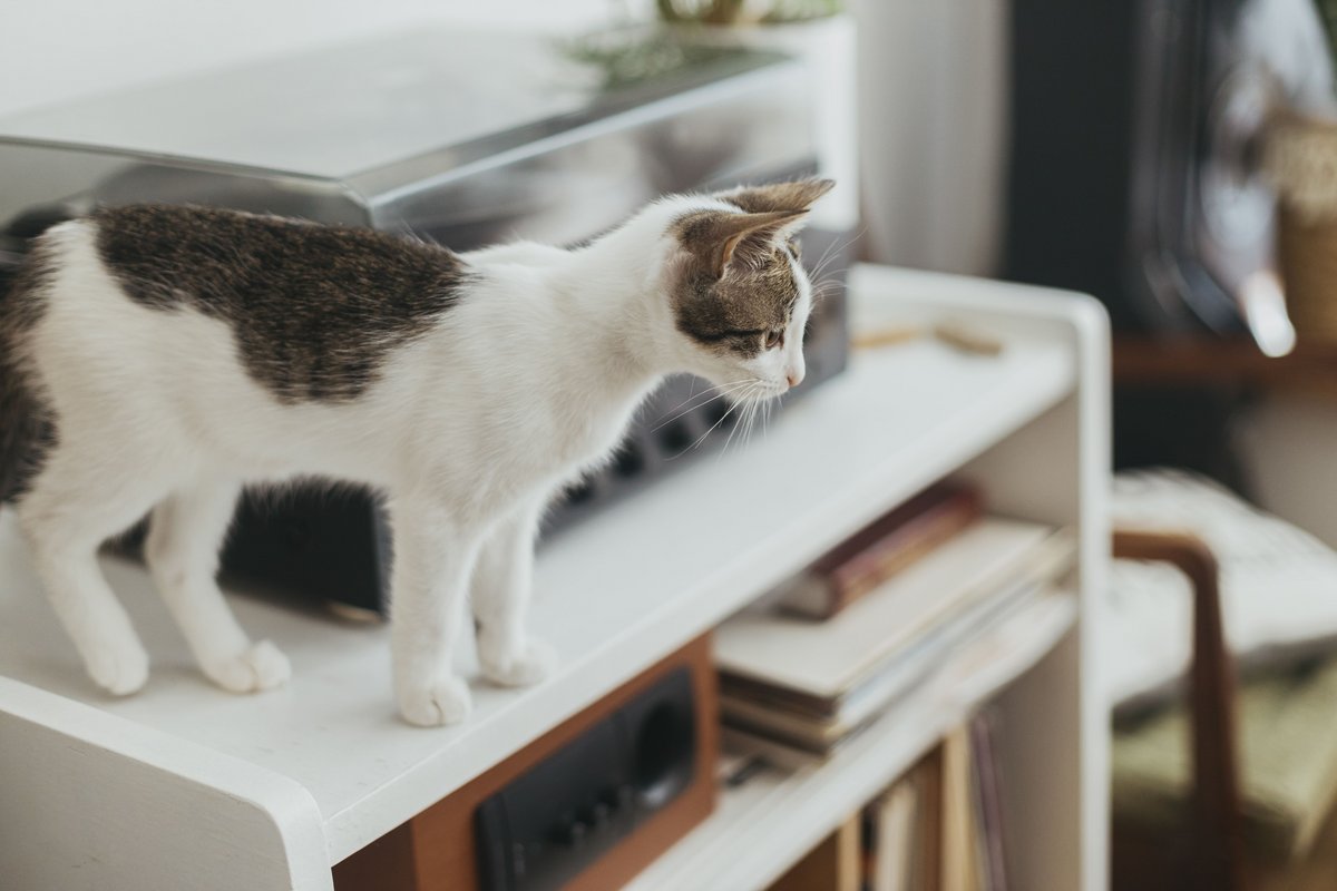 Attention à l'emplacement des détecteurs de mouvements © Envato