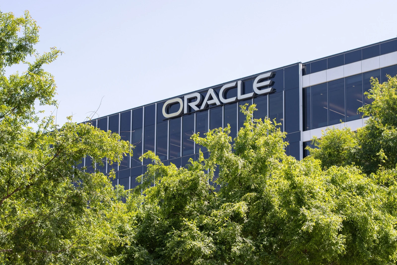 Illustration de l'article Oracle : pourquoi le géant licencie 30 000 personnes malgré des bénéfices records