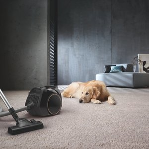 Miele Boost CX1 Cat & Dog