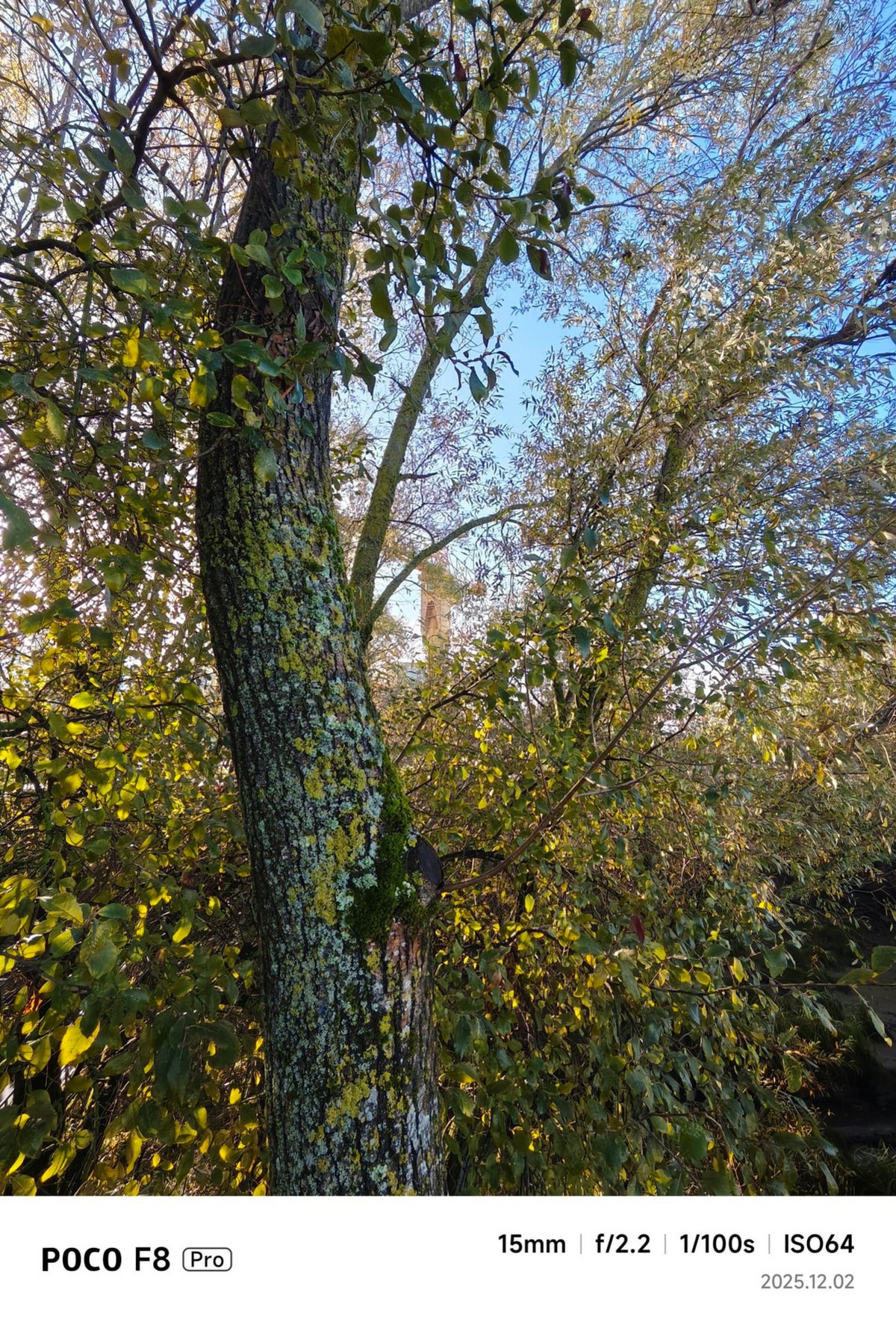 POCO F8 Pro test uga