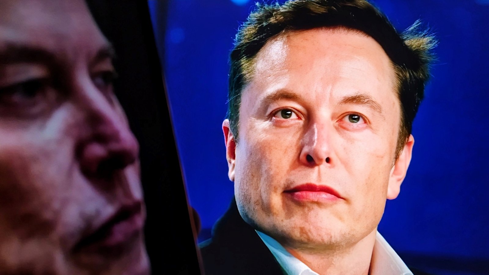 Elon Musk dément les informations du Wall Street Journal. ©FotoField / Shutterstock