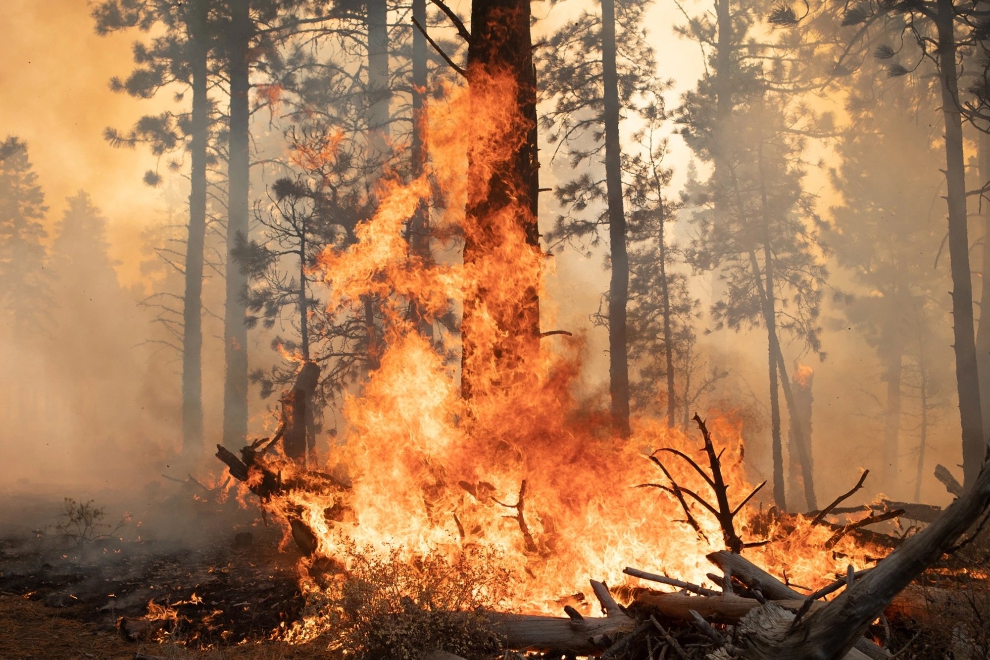 Alors que notre planète souffre, la géo-ingénierie est-elle la solution ? © Atimetion-Studios / Shutterstock