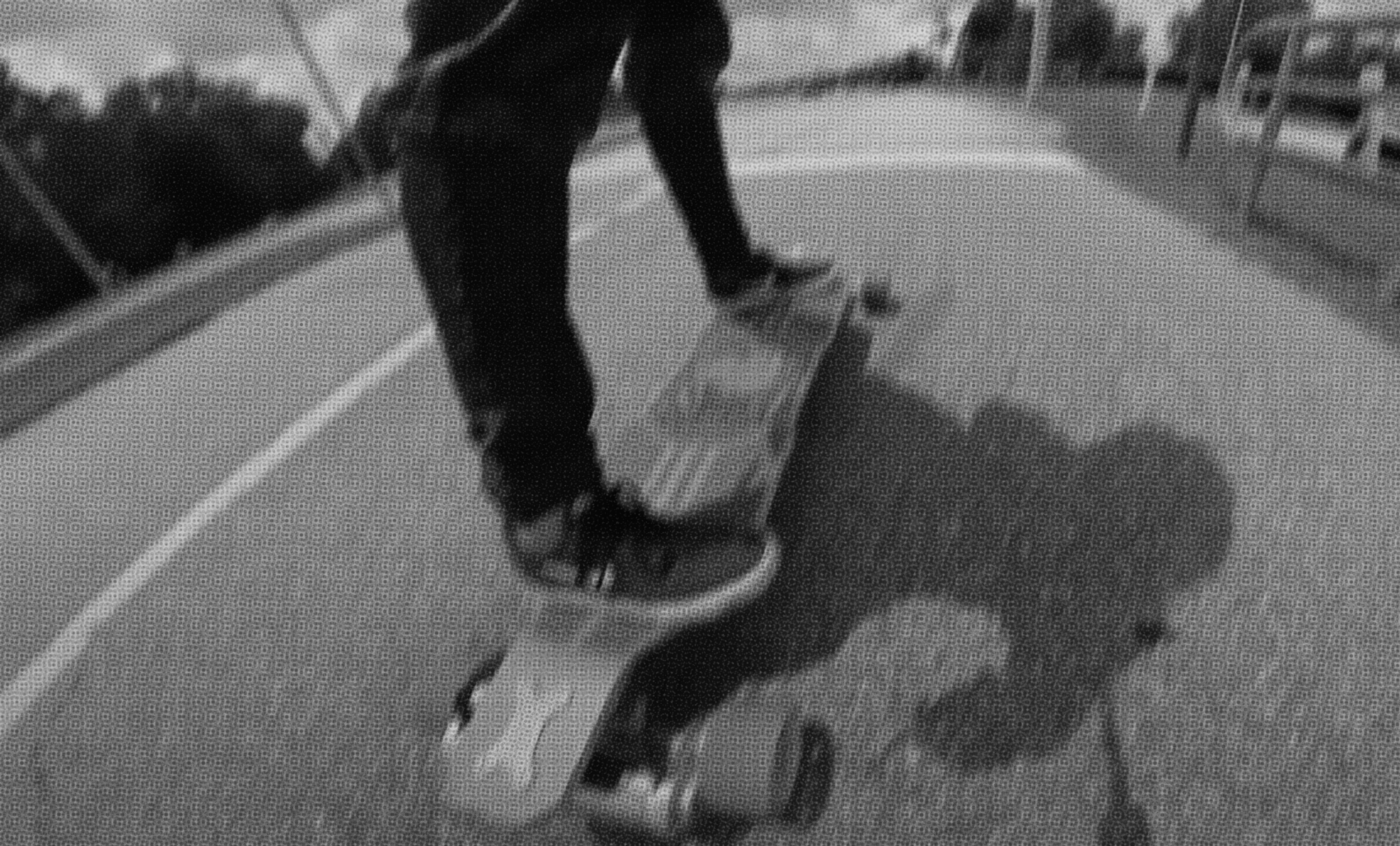 © Defiant Board Society