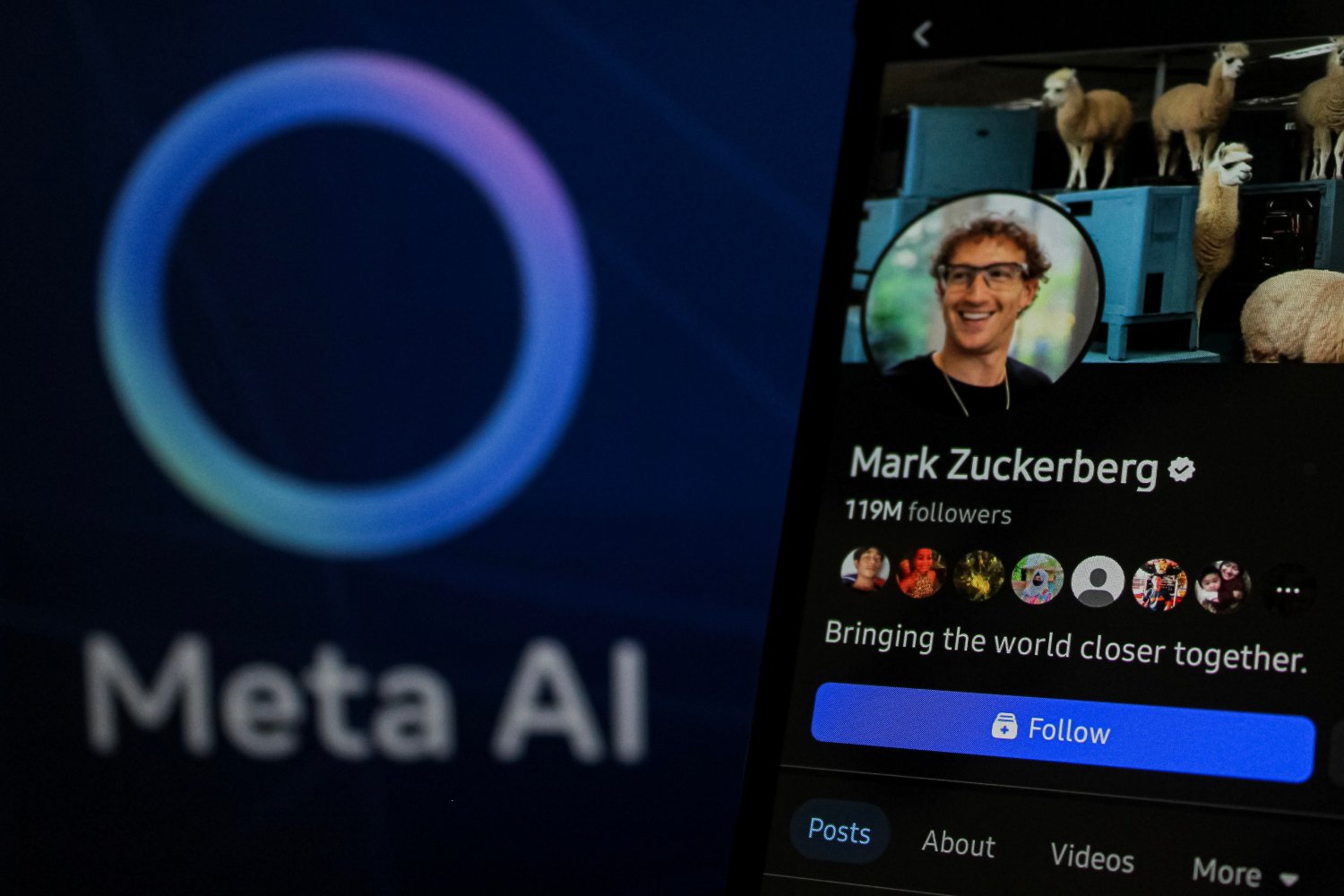 Voilà une nouvelle sombre affaire pour Meta. ©Algi Febri Sugita / Shutterstock