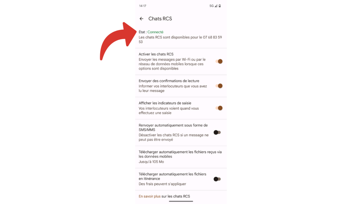 L'état Chat RCS en vert confirme l'activation des messages RCS