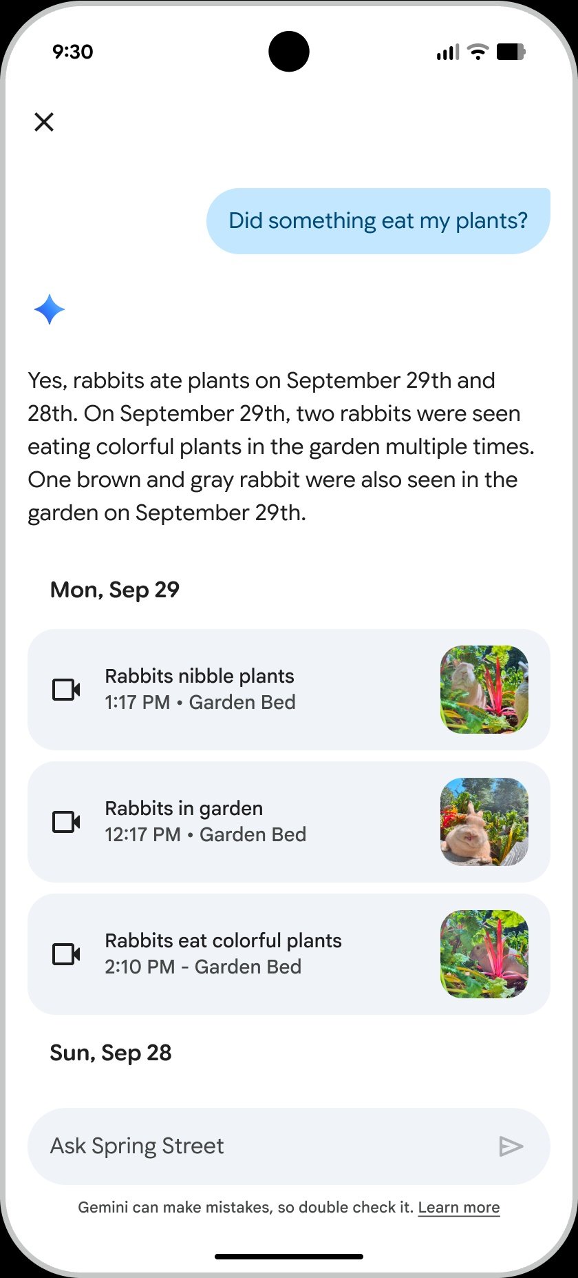 Google Home Gemini