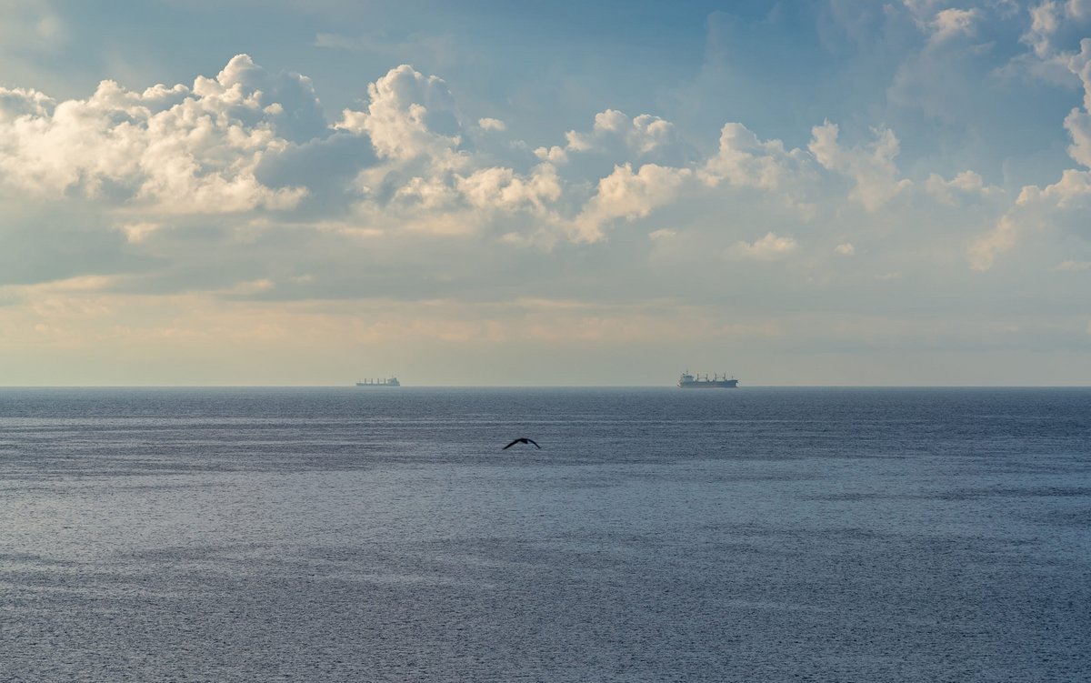 Un câble sous-marin, un de plus, a été endommagé dimanche en mer baltique © mika_mgla / Shutterstock