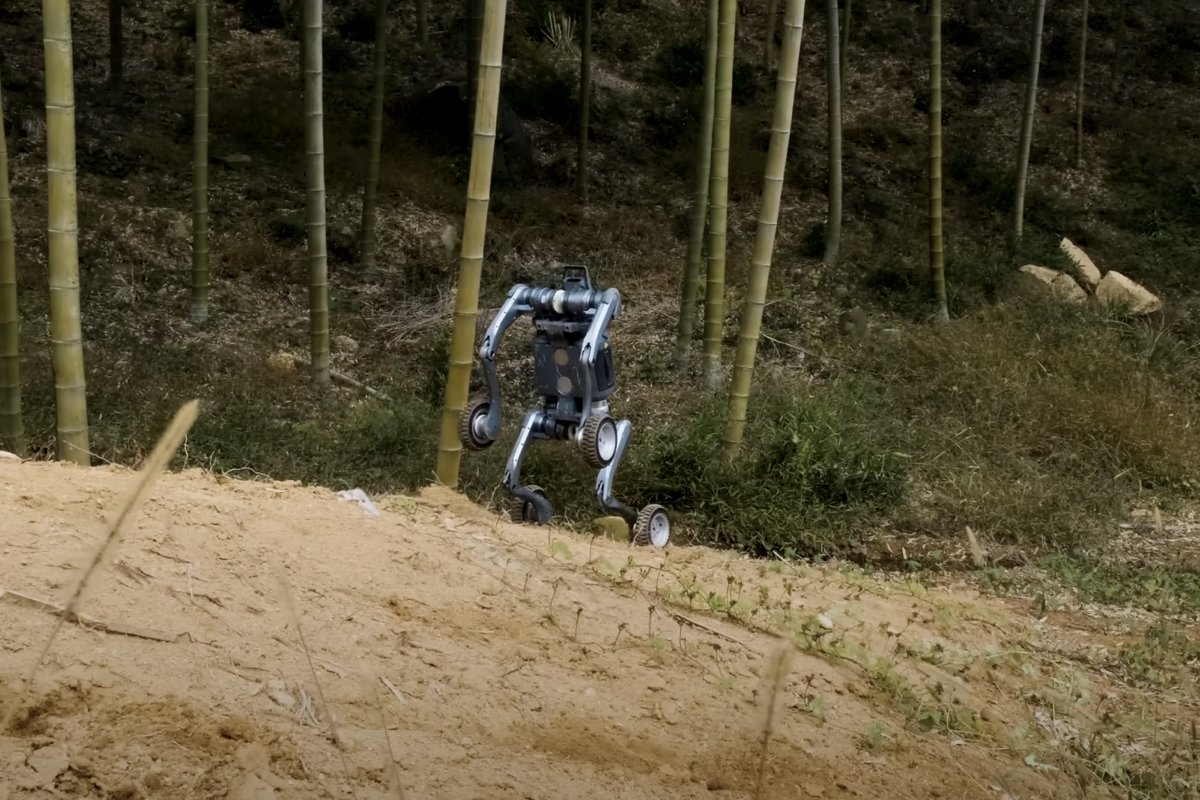 Lynx peut se mettre sur ses deux pieds. © YouTube / Deep Robotics