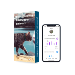 Invoxia Pet Tracker