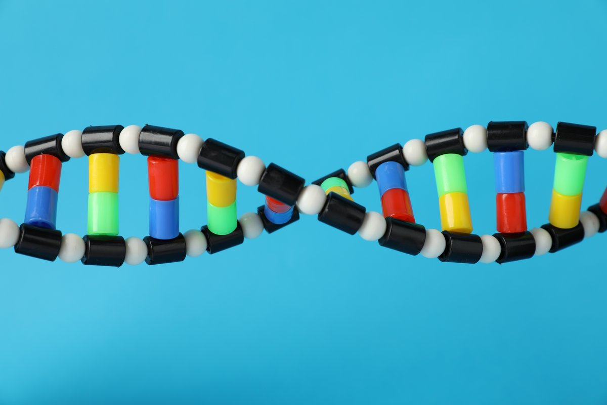  En traitant le génome comme un ensemble de coordonnées, l’IA peut ainsi produire un visage sans jamais l’avoir vu. © New Africa / Shutterstock
