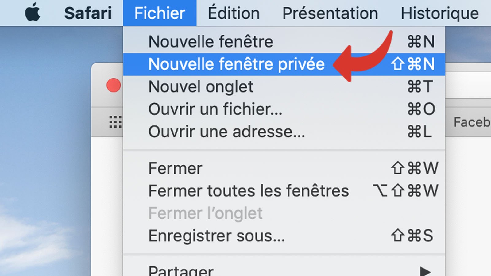 tutoriel safari