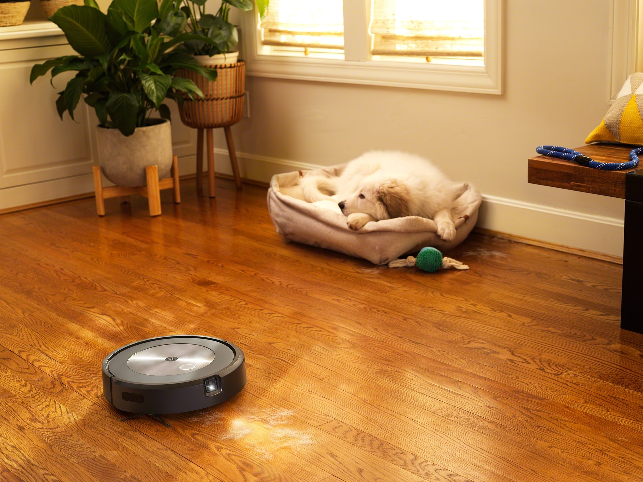© iRobot