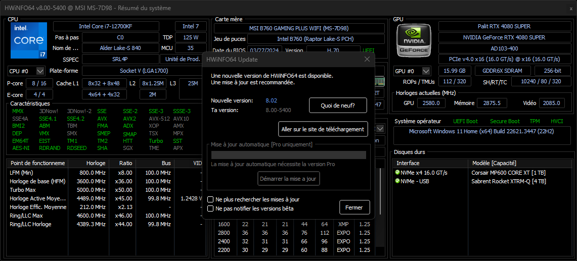 HWiNFO fait un point général sur la configuration mise au point par Infomax © Clubic