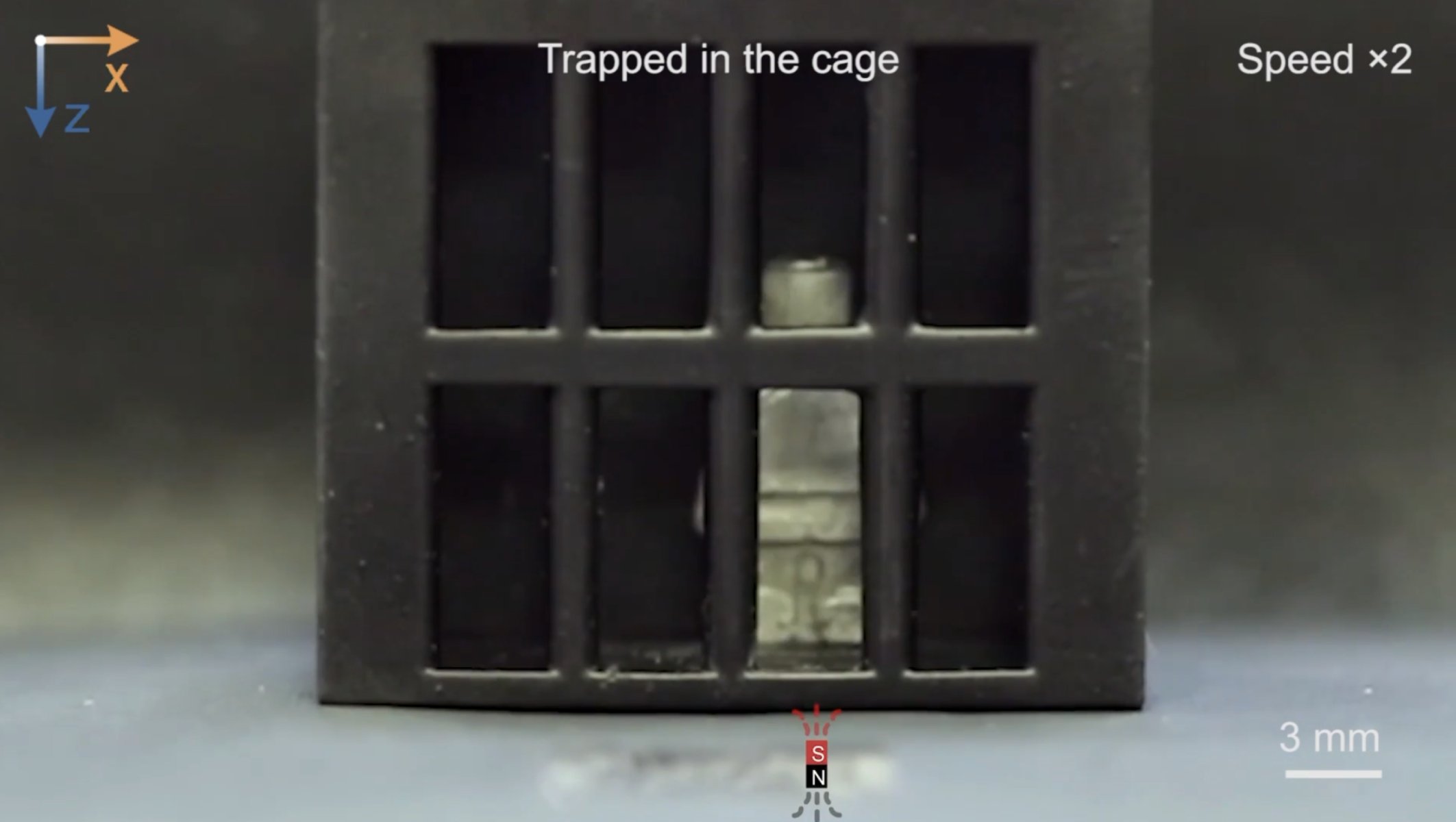 © Wang et Pan et al/Matter