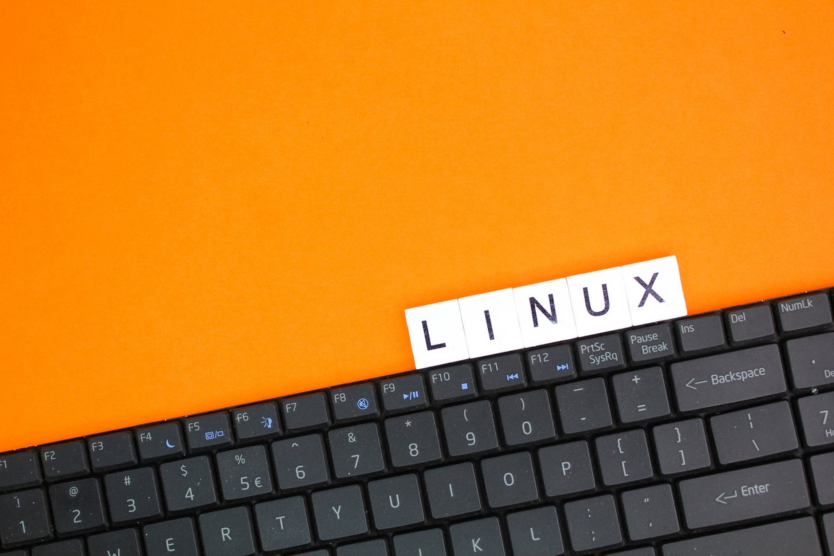 Linux, (presque) comme Linus Torvalds, son créateur - © Fauzi Muda / Shutterstock