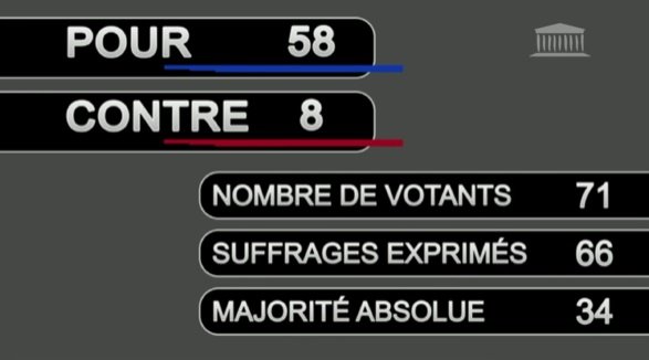 © Capture d'écran de l'Assemblée nationale