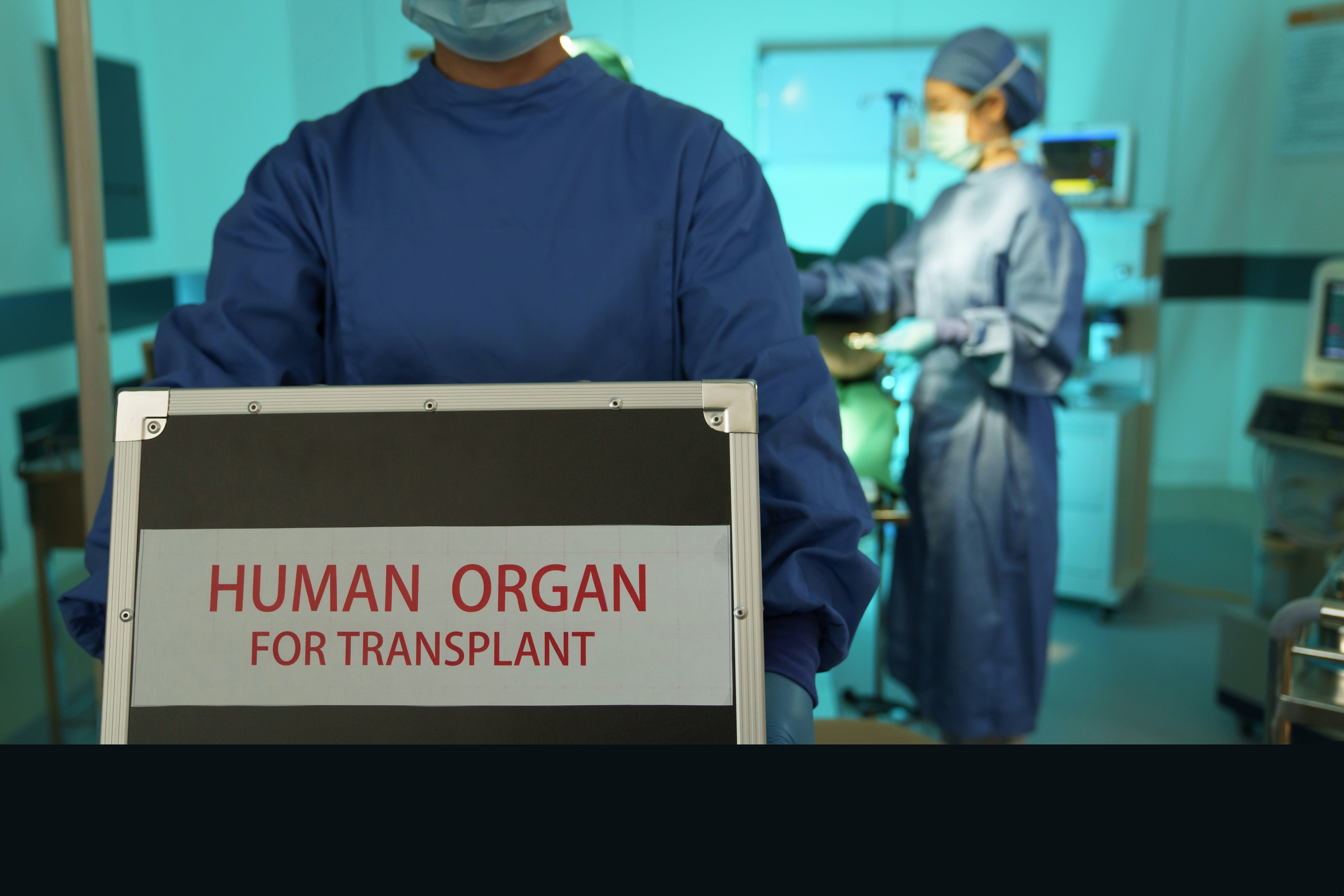 Dès qu'un organe est prélevé, il arrête d'être irrigué par le sang et ses tissus s'asphyxient rapidement en raison du manque d'oygène ; d'où la nécessité de le greffer au plus vite. © ViewStock / Shutterstock