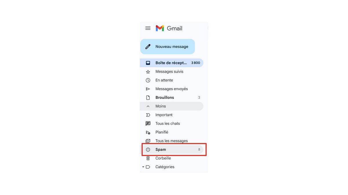 Vider régulièrement le dossier "Spam" de la messagerie - © Pascale Duc