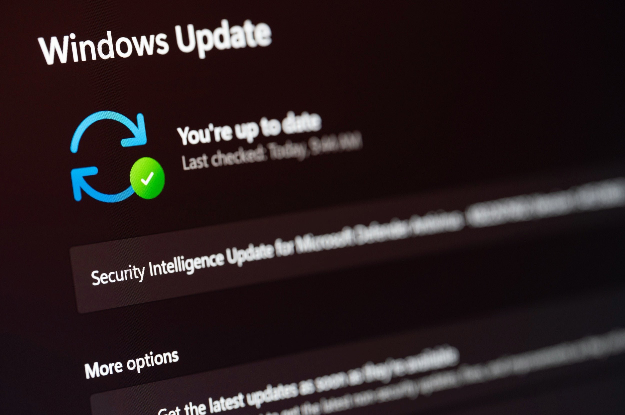 La mise à jour des définitions de Microsoft Defender (Security Intelligence Update) est vivement conseillée après l'installation de Windows 10 et Windows 11 à l'aide d'une ISO officielle. © PixieMe / Shutterstock
