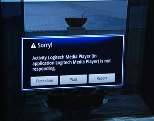 000000F003760726-photo-logitech-google-tv-plantage.jpg