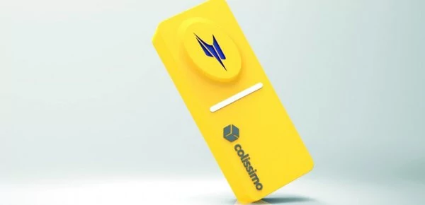0258000008301348-photo-la-poste-domino.jpg