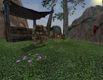 00D2000000340460-photo-everquest-2-echoes-of-faydwer.jpg