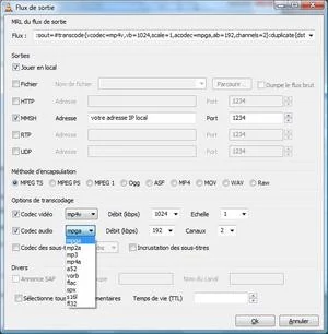 012C000000993476-photo-reglages-codec-audio-vlc.jpg