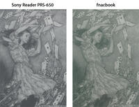 00C8000004166164-photo-sony-reader-prs-650-vs-fnacbook.jpg