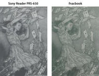 00C8000004166164-photo-sony-reader-prs-650-vs-fnacbook.jpg