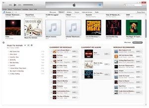 012C000005585957-photo-itunes-11-vue-tendue-store.jpg