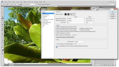 01F4000005340808-photo-photoshop-cs6-interface-personnalisation.jpg