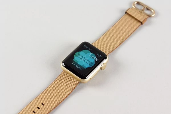 0258000008560424-photo-apple-watch2-3.jpg