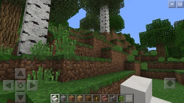 0258000008568592-photo-minecraft-pocket-edition.jpg