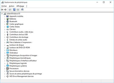 0190000008124690-photo-windows-10-rtm-gestionnaire-de-p-riph-riques.jpg