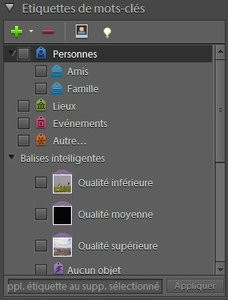 0000012C05020808-photo-photoshop-elements-10-organiseur-balises-intelligentes.jpg