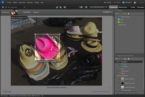 012C000005020812-photo-photoshop-elements-10-organiseur-recherche-d-objets.jpg