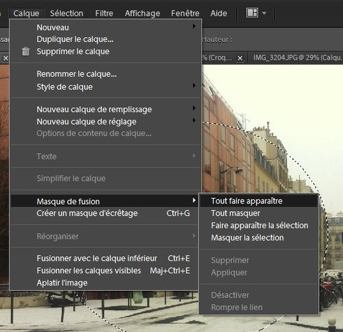 01F4000005020806-photo-photoshop-elements-10-masque-de-fusion.jpg