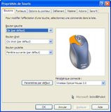 000000A000093212-photo-souris-drivers-microsoft-intellipoint-5-0-1.jpg