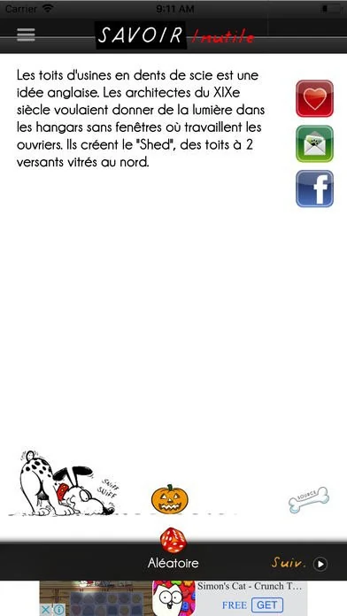0190000008787638-photo-savoir-inutile.jpg