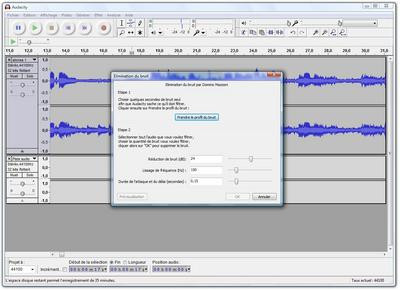 0190000001593498-photo-audacity-limination-des-bruits.jpg
