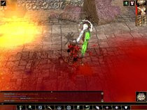 00D2000000060132-photo-neverwinter-nights-shadows-of-undrentide-mes-p-es-sont-totalement-inefficaces.jpg