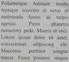0064000003915840-photo-k-5-piqu-18-mm-centre-f-11.jpg