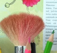 00C8000005500663-photo-extrait1-iphone4-160-iso.jpg