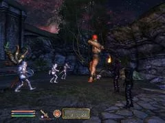 00F0000000480083-photo-the-elder-scrolls-iv-shivering-isles.jpg