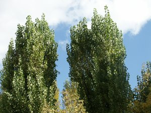 012C000000055126-photo-minolta-dimage-7hi-exemple-3.jpg