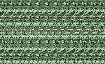 015E000000557133-photo-bigle-3d.jpg