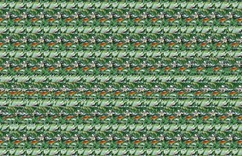 015E000000557132-photo-bigle-3d.jpg