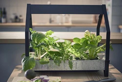 minuterie automatique de jardinière intelligente sans graines Système de culture hydroponique Diivoo kit de jardin d'herbes d'intérieur à 12 dosettes avec lumière de croissance à LED 